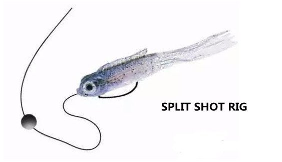 SPLIT SHOT RIG FOR BASS FISHING-TERMINALPRO