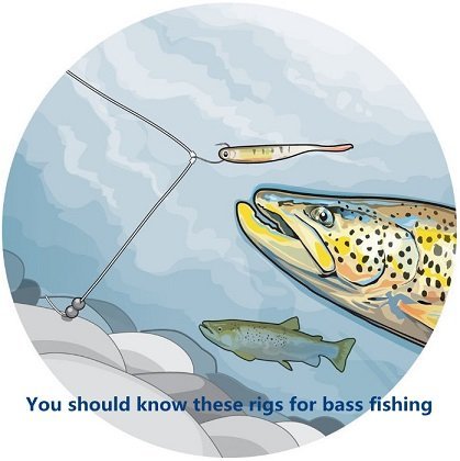 13 common rigs for fishing beginners