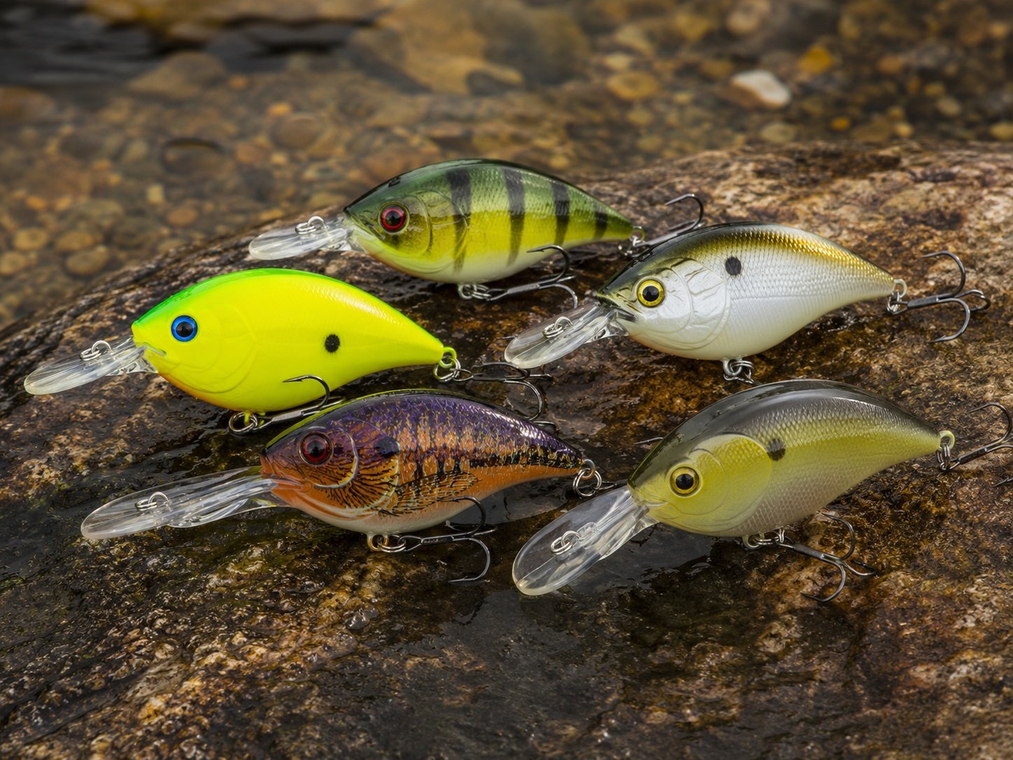 Crankbaits with diving lips for bass and predator fishing